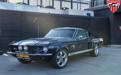 Ford Mustang GT350 Tribute Fastback 1967