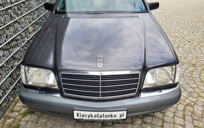Auto na zamówienie, czy od ręki – co będzie lepszą opcją?